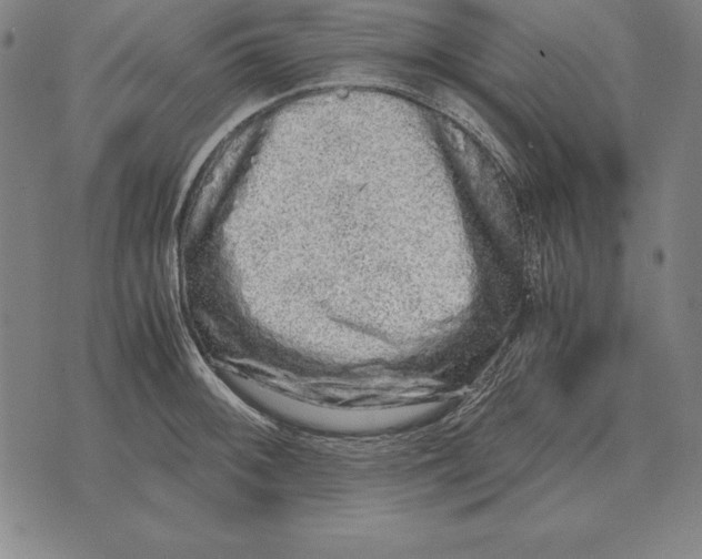 X0000071831092200607211755