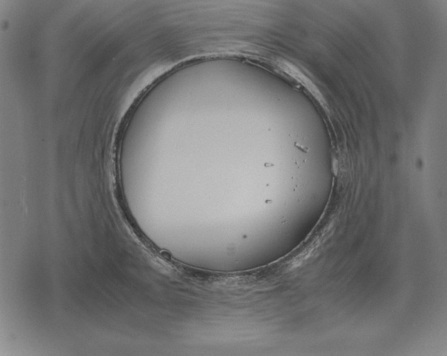 X0000071831093200607211755