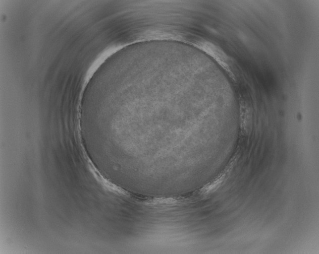 X0000071831094200607211755