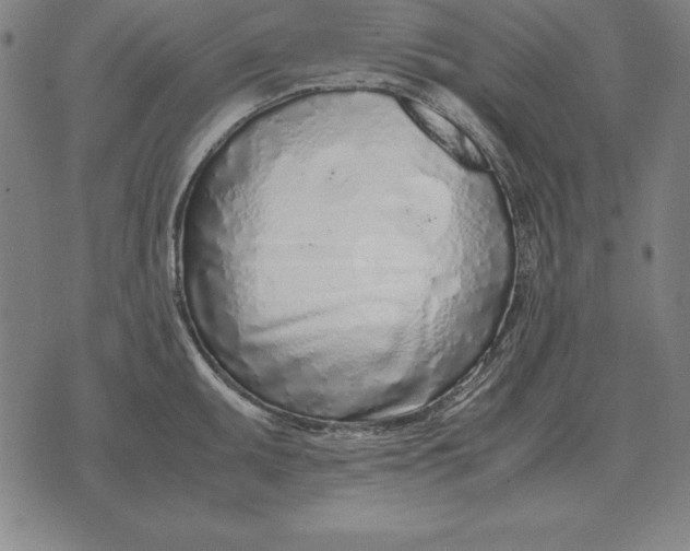 X0000071831095200607211755