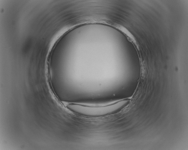 X0000071831096200607211755