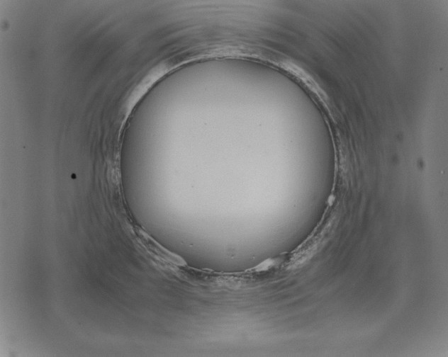 X0000071831097200607211755