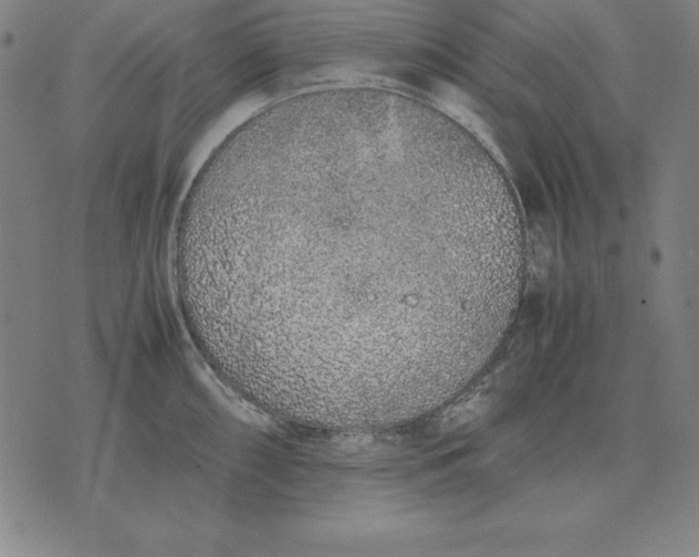 X0000071831098200607211755