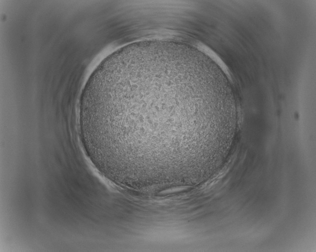 X0000071831099200607211755