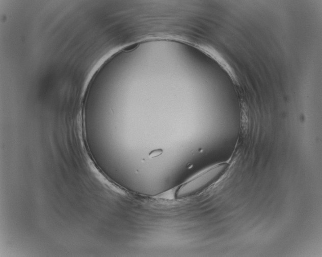 X0000071831100200607211755