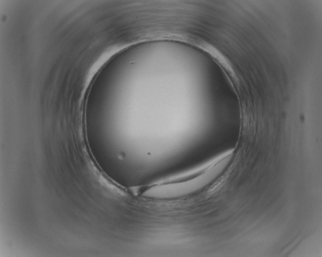 X0000071831102200607211755