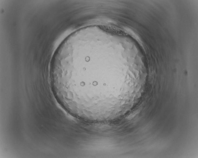 X0000071831103200607211755