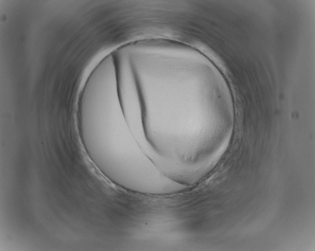 X0000071831104200607211755