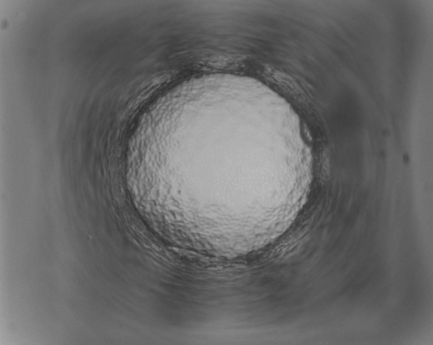 X0000071831105200607211754