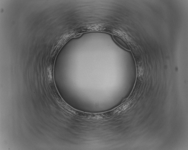 X0000071831106200607211754