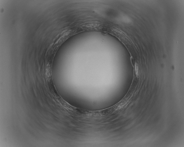 X0000071831107200607211754