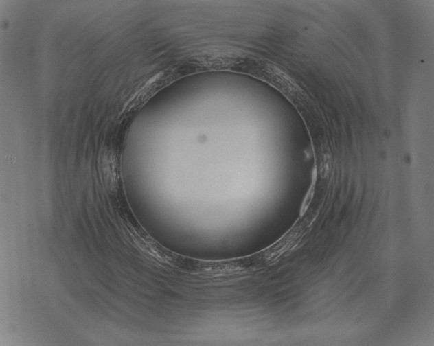 X0000071831108200607211755