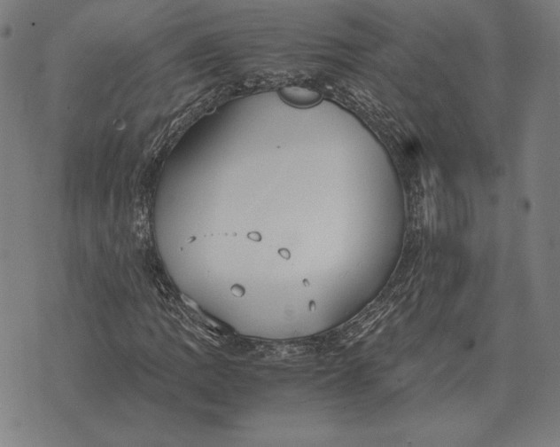 X0000071831109200607211755