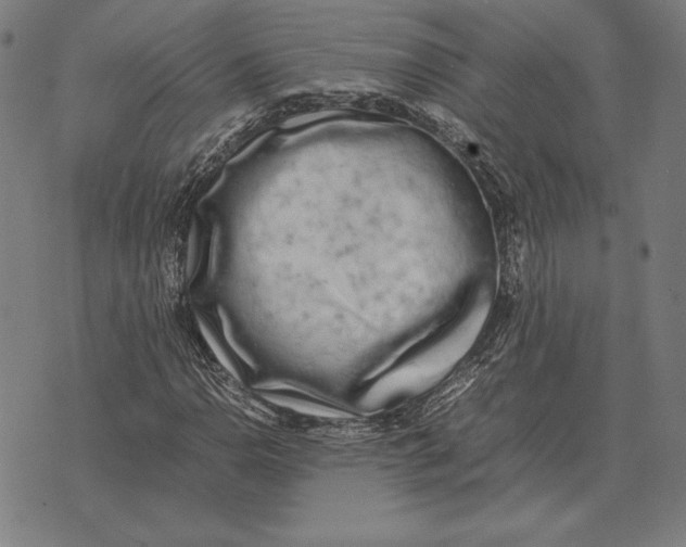 X0000071831110200607211755