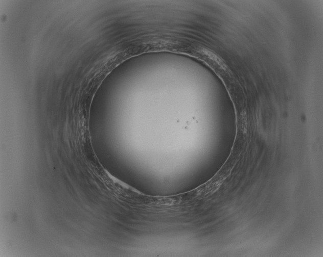 X0000071831111200607211755