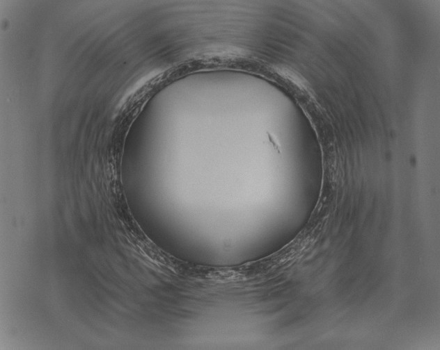 X0000071831112200607211755