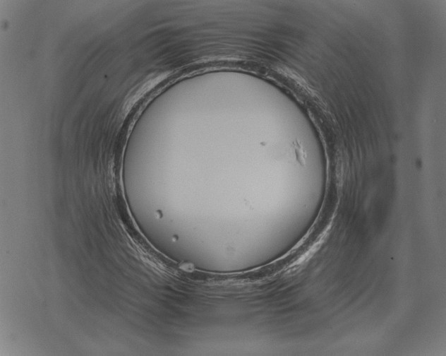 X0000071831113200607211755