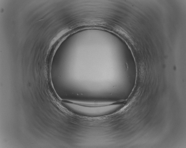 X0000071831114200607211755