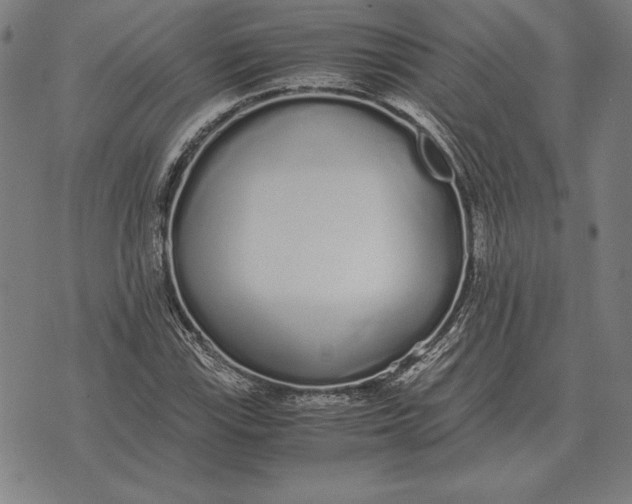 X0000071831115200607211755