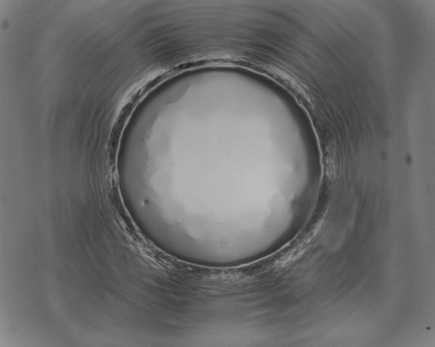 X0000071831117200607211755