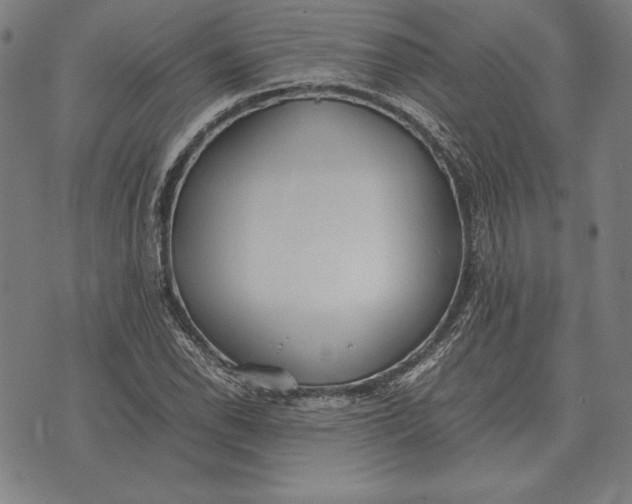 X0000071831118200607211755