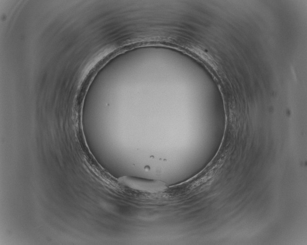 X0000071831119200607211755