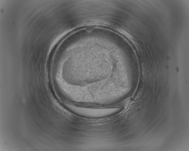 X0000071831120200607211755