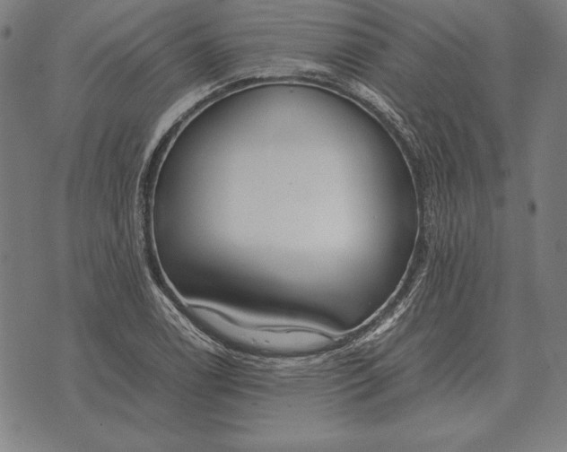 X0000071831122200607211755