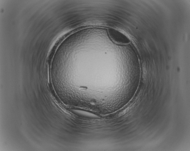 X0000071831123200607211755