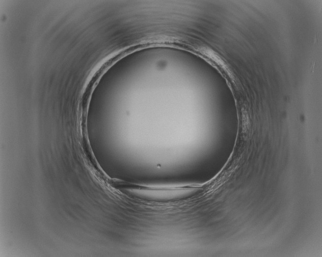 X0000071831124200607211755