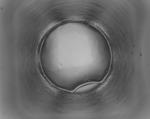 X0000071831125200607211755