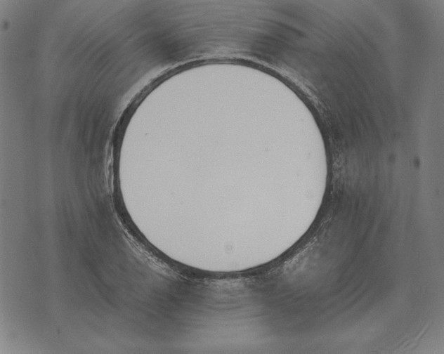 X0000071831126200607211755