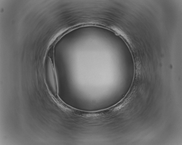 X0000071831127200607211755