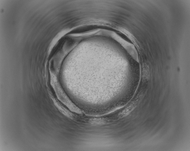 X0000071831128200607211755