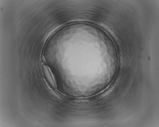 X0000071831129200607211755