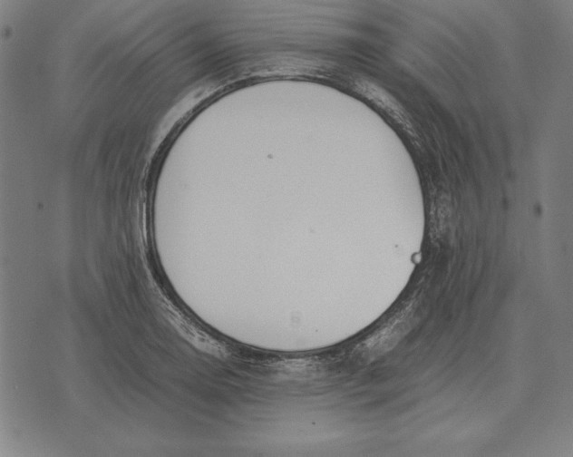 X0000071831130200607211755