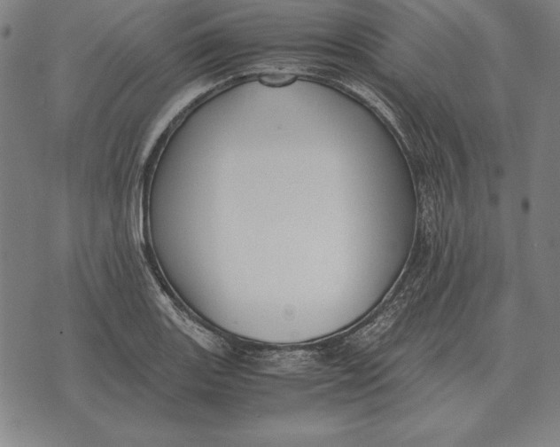 X0000071831131200607211755