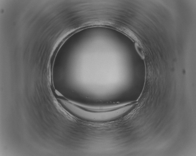 X0000071831132200607211755