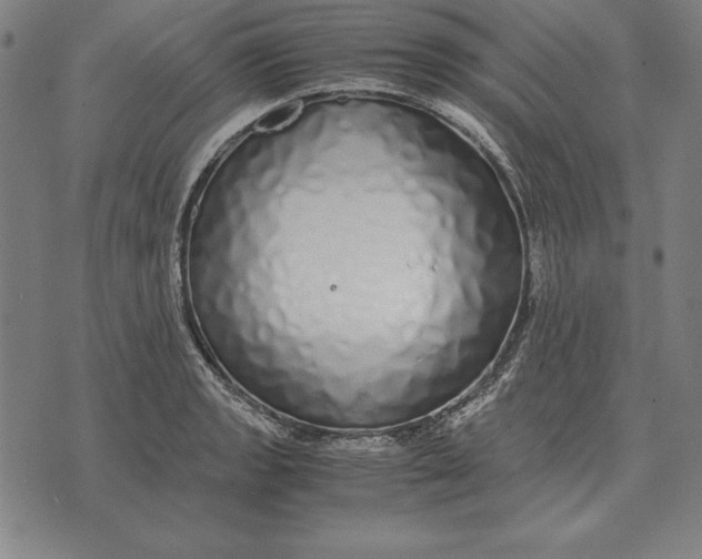 X0000071831133200607211755