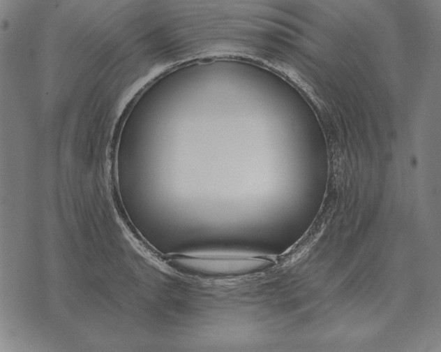 X0000071831134200607211755