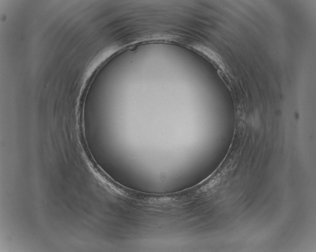 X0000071831135200607211755