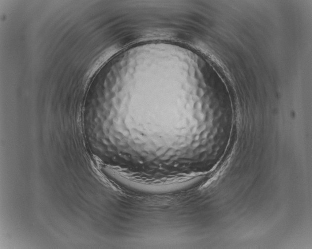 X0000071831137200607211755