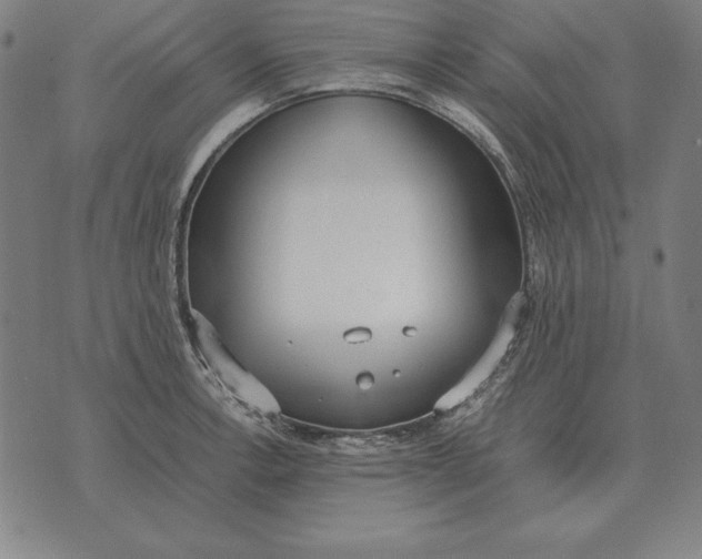 X0000071831138200607211755