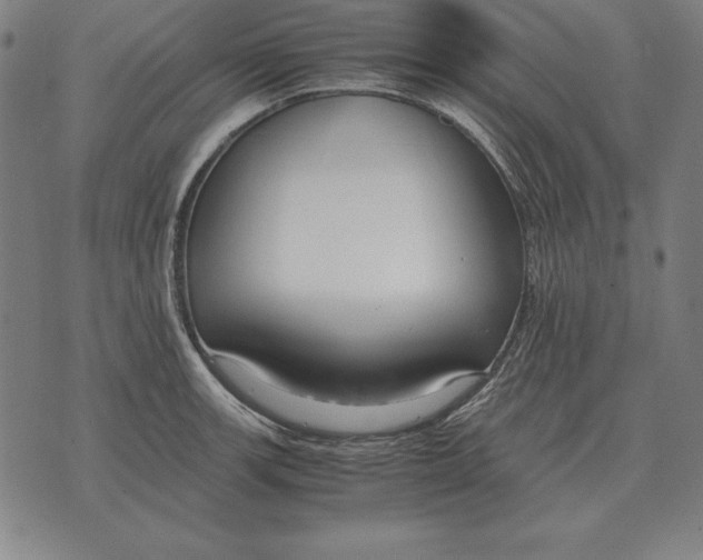 X0000071831139200607211755