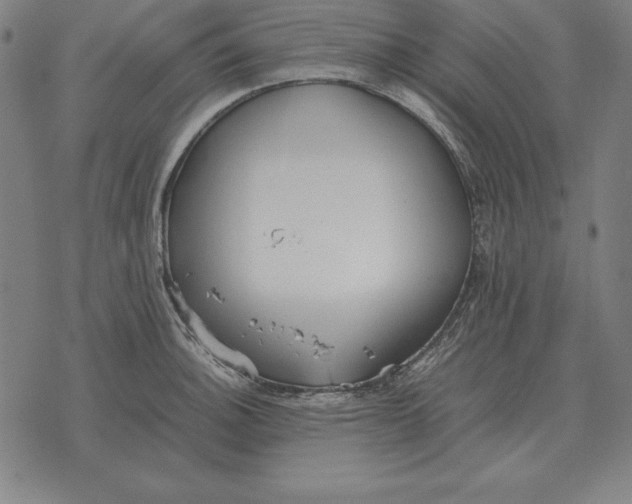 X0000071831140200607211755