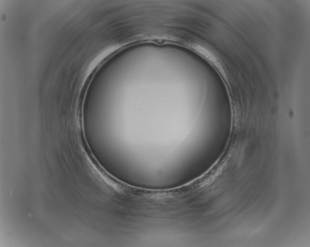 X0000071831141200607211755