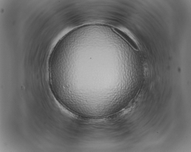 X0000071831143200607211755