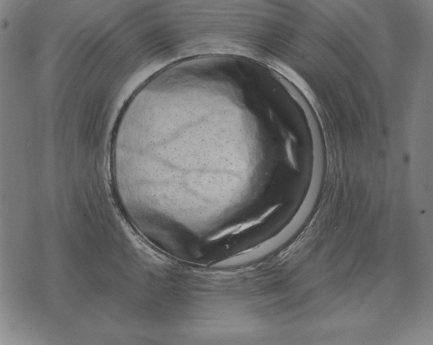 X0000071831144200607211755