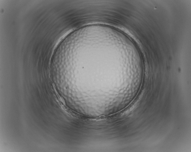 X0000071831145200607211755