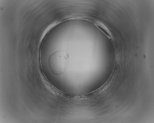 X0000071831146200607211755